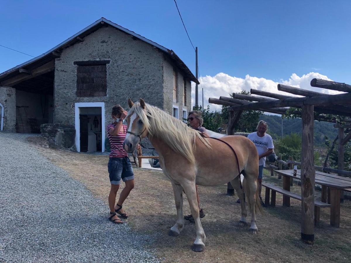 Cascina Merlo Country House Pareto Exterior foto